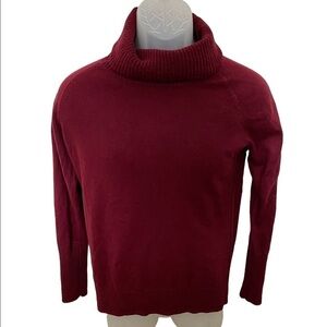 Ann TAYLOR LOFT Maroon Turtleneck Sweater Women M Medium